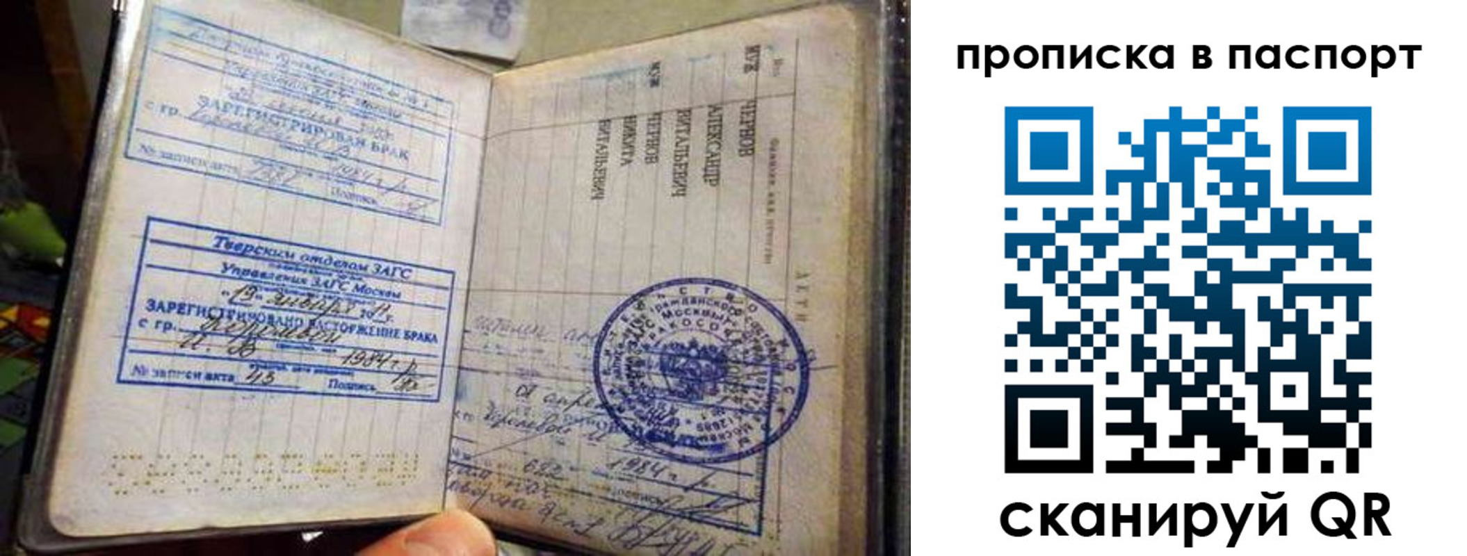 прописка поиск в Ногинске